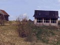 Bubo-1