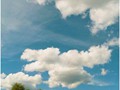 Image0019