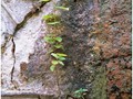 Image0032