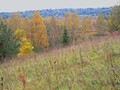 Image0046 copy