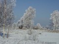 P3071381