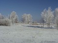 P3071387