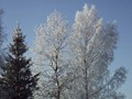 P3071400