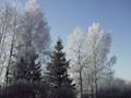 P3071402