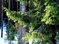 P3081583ajpg