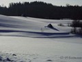 P3091674ajpg