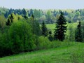 P4300352