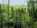 P5020277