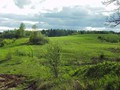 P5020296