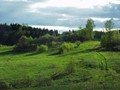 P5020298