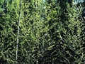 P5030508