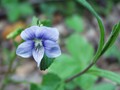 P5090995
