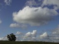 P5121295
