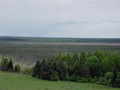 P5131453