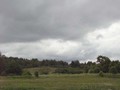 P6082871