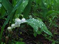 P6123046