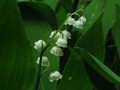 P6123054