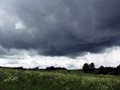 P6133254