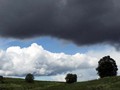 P6133284
