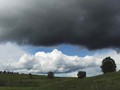 P6133285