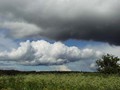 P6133288