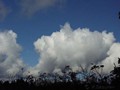 P8146012