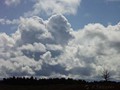 P8146050