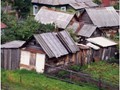 Toropa1