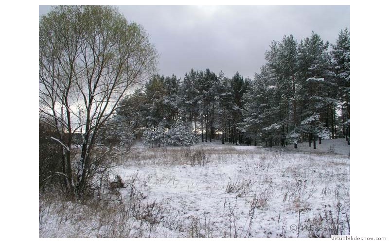 Предзима-03-1-154