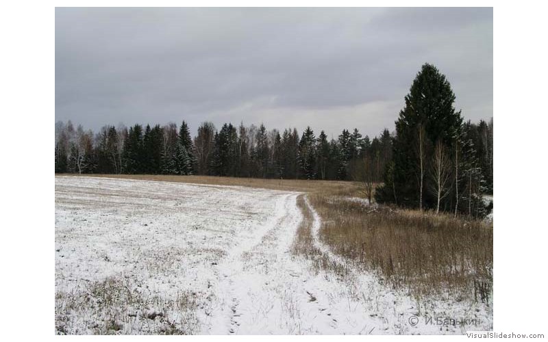 Предзима-03-2-253
