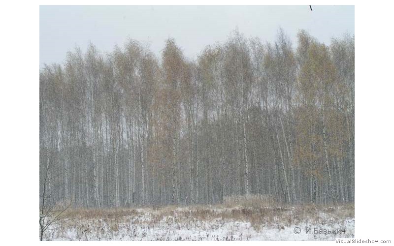 Предзима-03-2-295