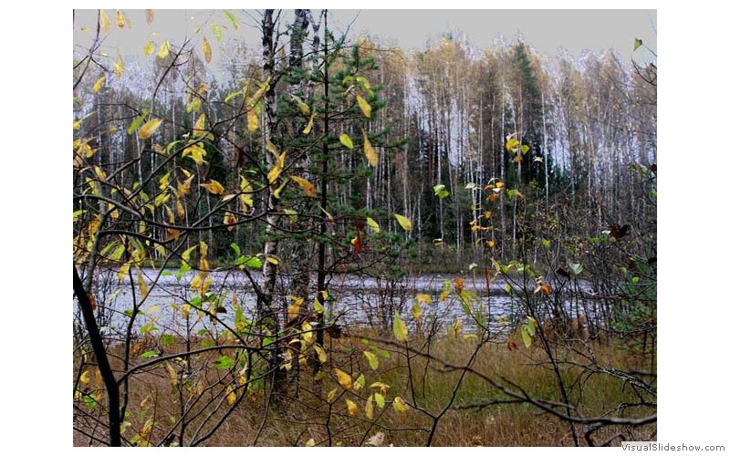 9-Печать-067