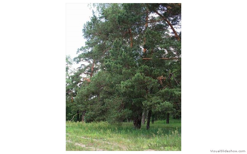 9-Печать-087