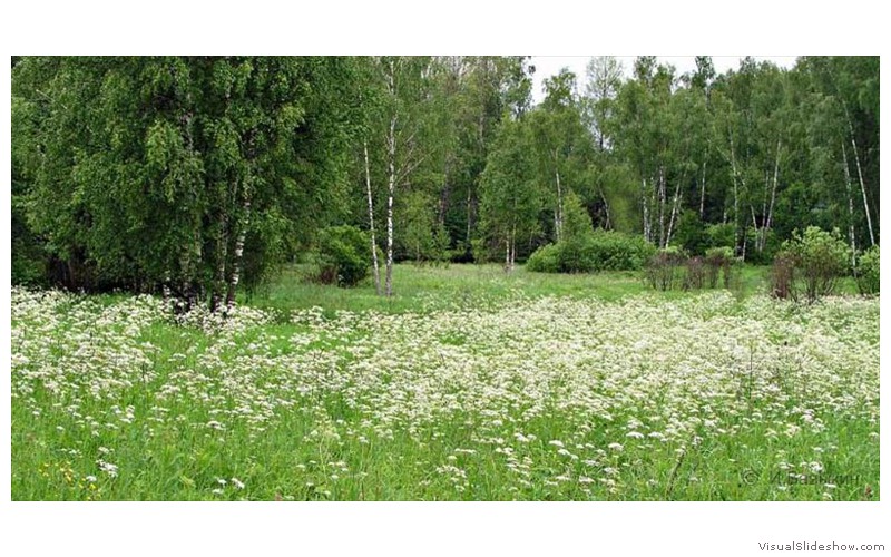 9-Печать-099