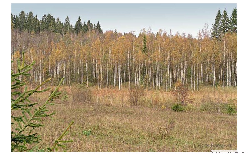 9-Печать-128