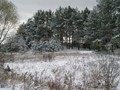 Предзима-03-1-150