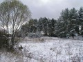 Предзима-03-1-154