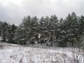 Предзима-03-1-155