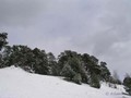 Предзима-03-1-171