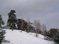 Предзима-03-1-176