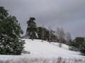 Предзима-03-1-177