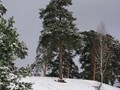 Предзима-03-1-180