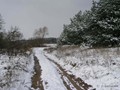 Предзима-03-1-182