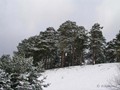 Предзима-03-1-183
