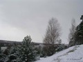 Предзима-03-1-191