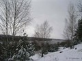 Предзима-03-1-195