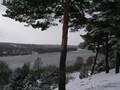 Предзима-03-1-199
