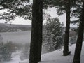 Предзима-03-1-202
