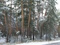 Предзима-03-1-204