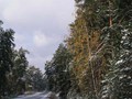Предзима-03-1-205